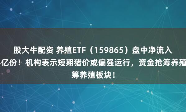 股大牛配资 养殖ETF（159865）盘中净流入超1.4亿份！机构表示短期猪价或偏强运行，资金抢筹养殖板块！