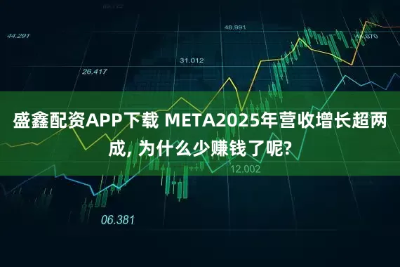盛鑫配资APP下载 META2025年营收增长超两成, 为什么少赚钱了呢?